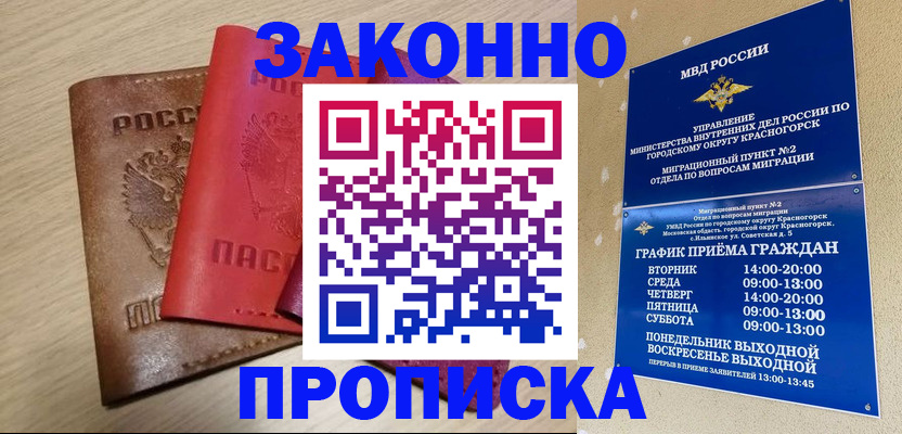 временная регистрация собственник в Никольском